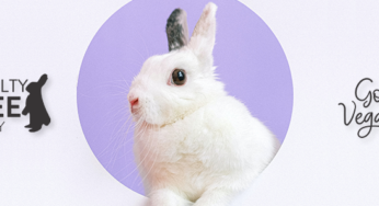 Como identificar selos vegano, cruelty free e reciclado?